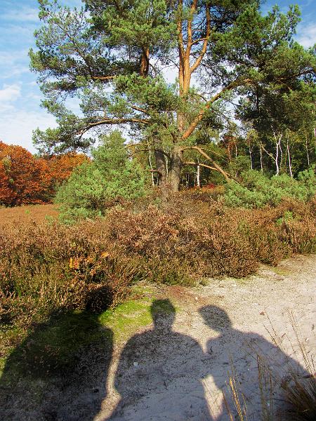 Wandeling van Monke en Judith op 21-10-2012 (42).JPG